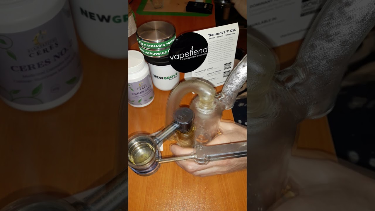 Мята SLURRICANE | Плантации Ceres, Portocanna и Cantourage | DAB-тест