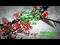 L068《疏梅弄影》太極拳伴奏音樂加長版 | 純音樂 | 禪修音樂 | 佛教音樂 | 減壓睡眠放鬆輕音樂 | Tai Chi - Relaxing Chinese Romantic Music