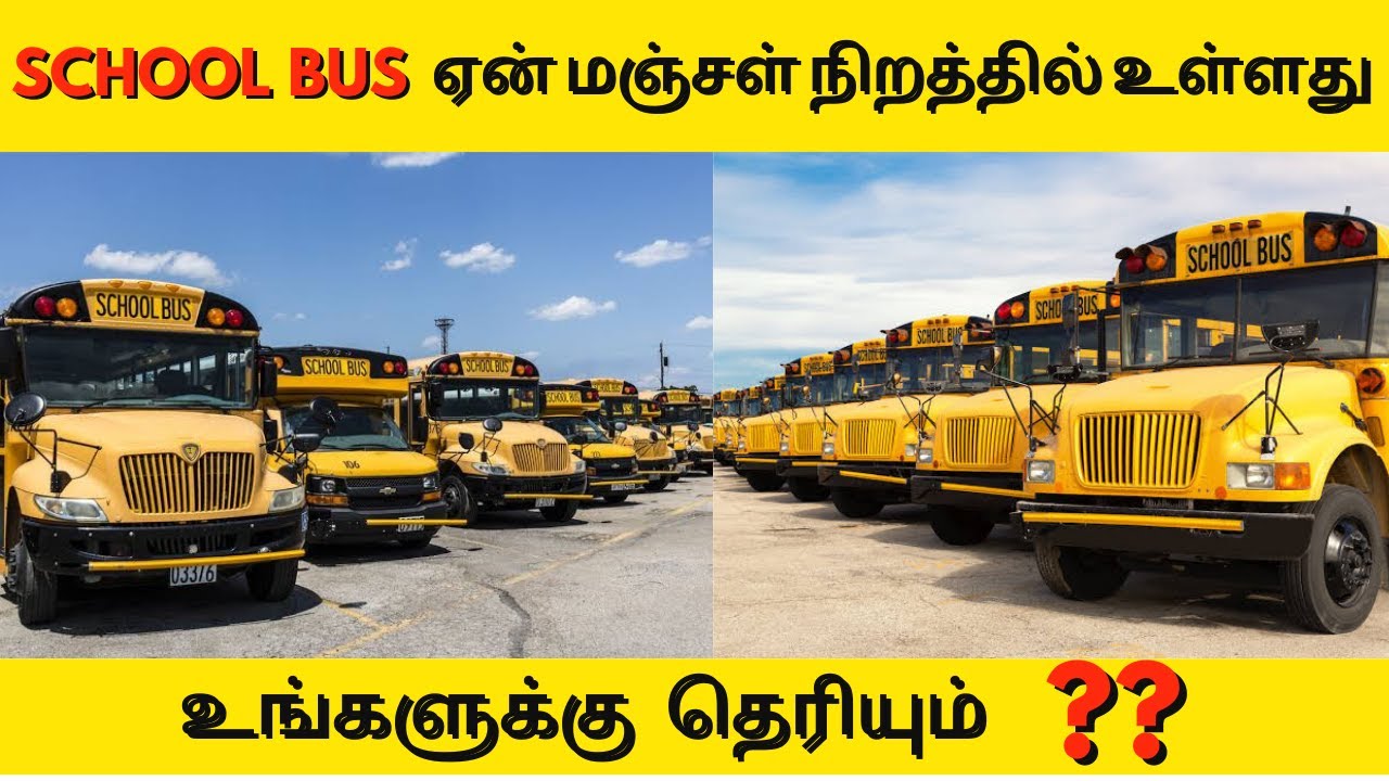 Why School Bus In Yellow Color 🤔 | Tamil Fact | First Yellow Color Bus | School Bus Fact In Tamil |