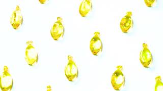 Mr Vet Supplements - Solusi Lengkap Untuk Kesehatan Pet Kesayanganmu