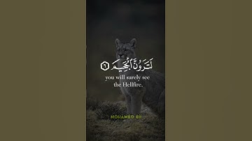 ألهاكم التكاثر حتى زرتم المقابر // #سورة_التكاثر كاملة 🎧🎧