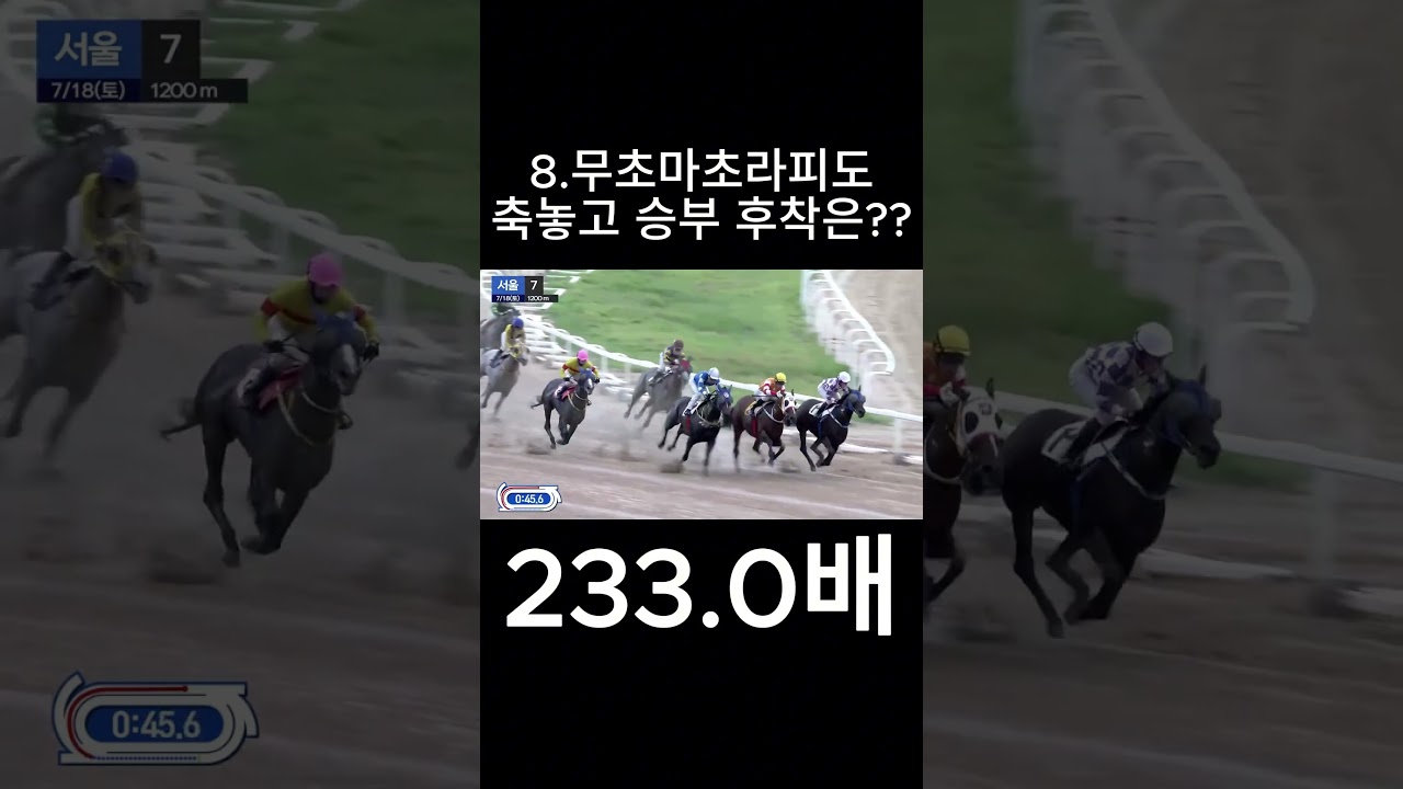 무초마초라피도  후착은??  #경마  #경마예상  #경마방송  #경마예상방송  #서울경마  #금요경마  #토요경마  #일요경마 #경마장
