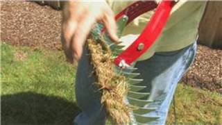 Lawn Care & Landscaping : How to De-Thatch a Lawn