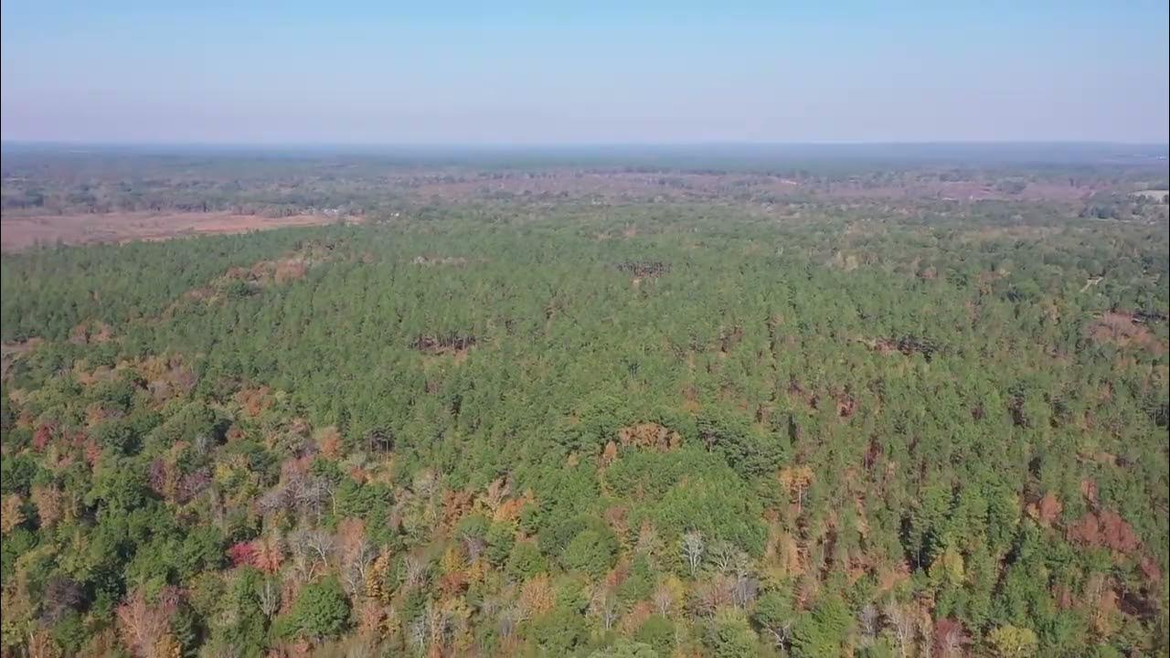 Beautiful, Wooded Texas Property For Sale YouTube