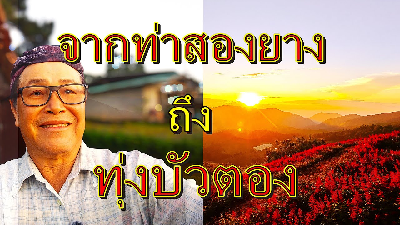 จากท่าสองยาง, แม่น้ำสองสี ,ทุ่งบัวตองดอยแม่อุคอ,อ.ขุนยวม จ.แม่ฮ่องสอน,เที่ยวไทยปลายฝนต้นหนาว ตค 2567