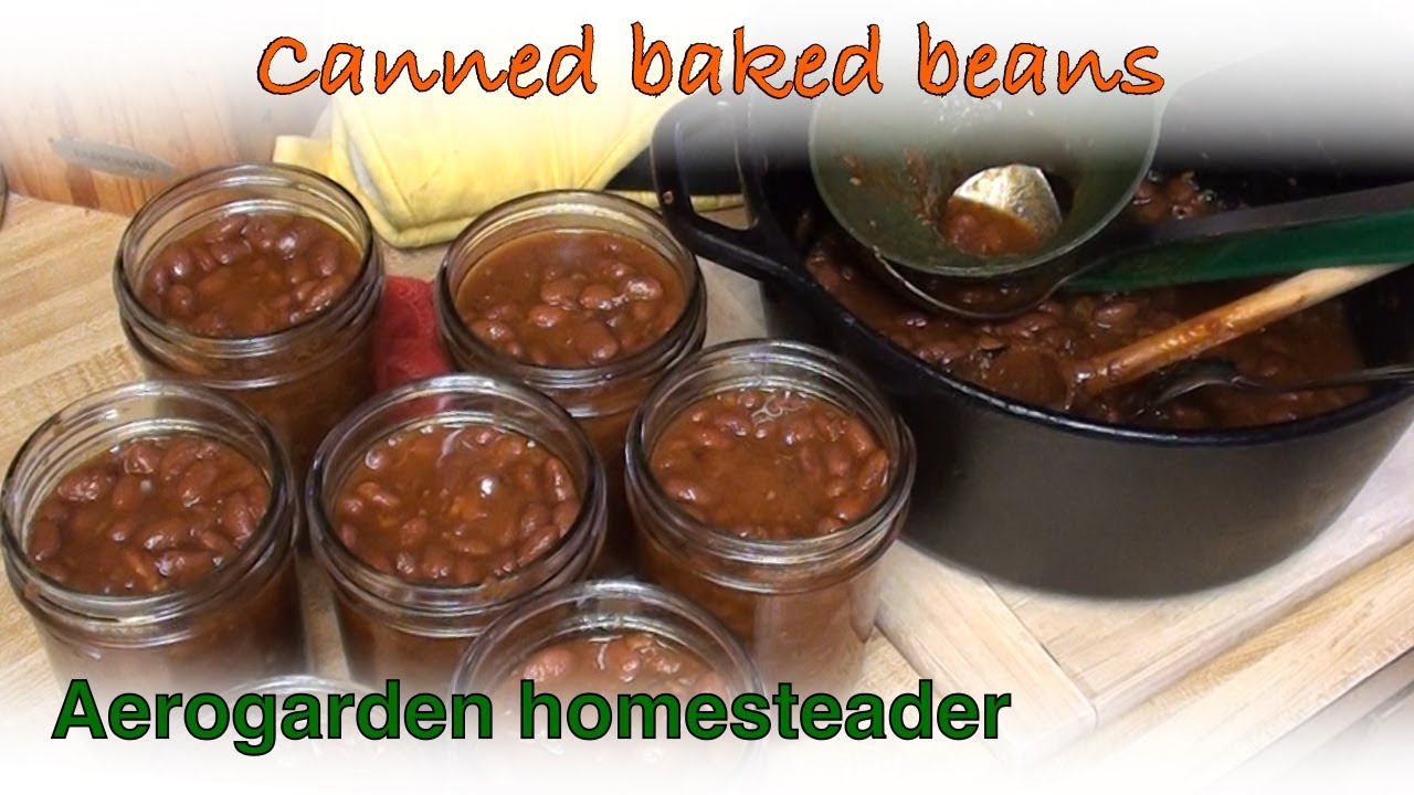 How To Can Baked Beans Stocking The Pantry Meals In A Jar YouTube how-to-can-baked-beans-stocking-the-pantry-meals-in-a-jar-youtube