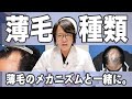 【薄毛治療】薄毛のメカニズムについて専門医が徹底解説【自毛植毛】【AGA】