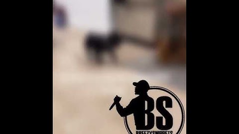 Chris Brown x Pop Smoke x Tory Lanez [Snippet]