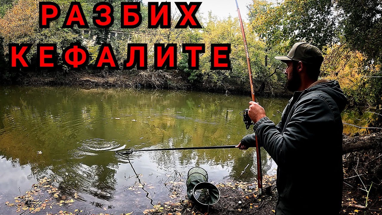 РАЗБИХ КЕФАЛИТЕ. СВЪРШИХА ми БЕЛИТЕ ЧЕРВЕИ. РЕЧЕН РИБОЛОВ НА ПЛУВКА