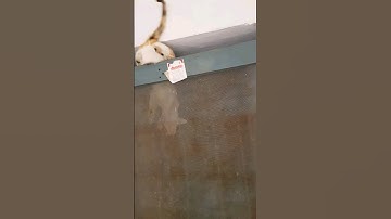 AMU exam vlog |Hostel wala | #vlog #minivlog #exam #shorts