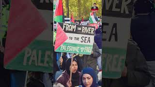 Proposed Israeli annexation of the West Bank - #gazapeaceplan #hamidmir #shorts