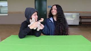 2025 STN Challenge Kindness for Free (1st Place High School PSA - Div.III)