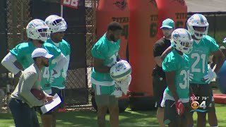 Fins On 4: Dolphins Are Back!