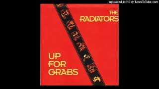 Video thumbnail of "Up For Grabs - The Radiators"