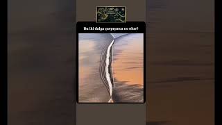 İki Su Dalgası Karşılaşınca Ne Olur? #bilim