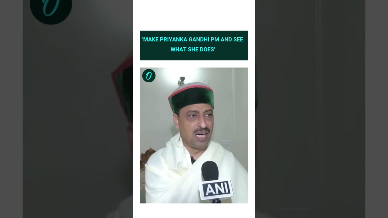 'Make Priyanka Gandhi PM and see what she does'..