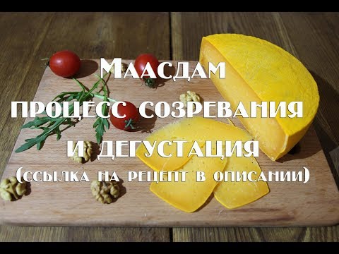 Маасдам процесс созревания и дегустация ссылка на рецепт в описании
