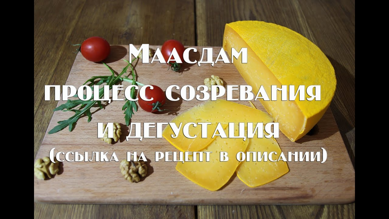 Маасдам - процесс созревания и дегустация, ссылка на рецепт в описании