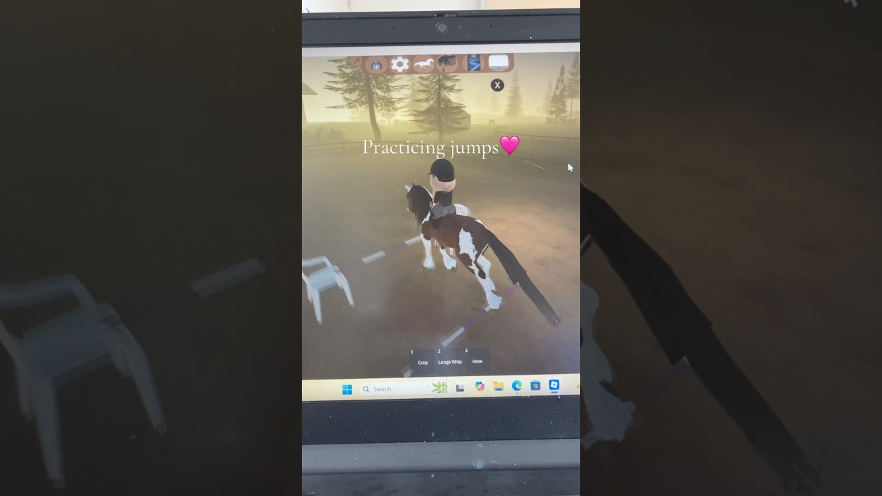 Take sunny on a morning session with me💛🩷 