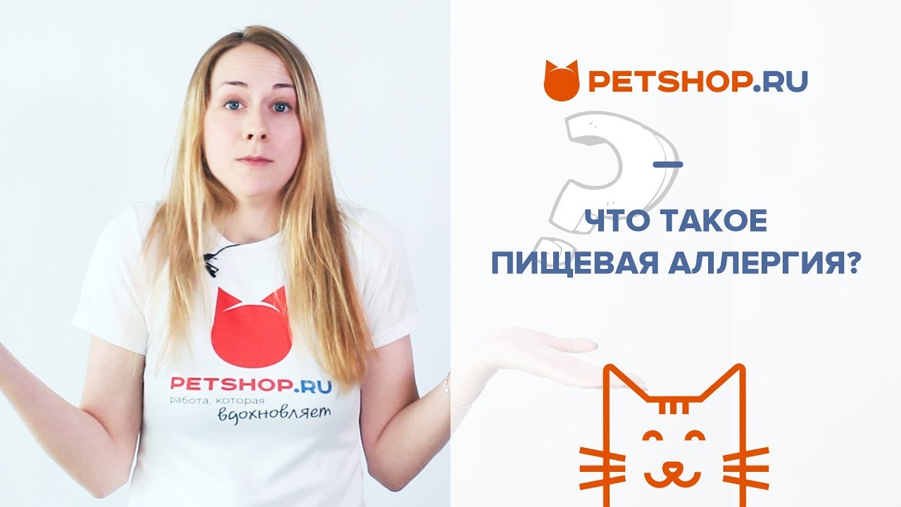 ЧТО ТАКОЕ ПИЩЕВАЯ АЛЛЕРГИЯ У КОШЕК И СОБАК? ПРОБЛЕМЫ С ЖКТ - YouTube