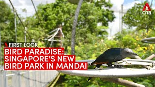 First look at Bird Paradise, Singapore's new bird park in Mandai