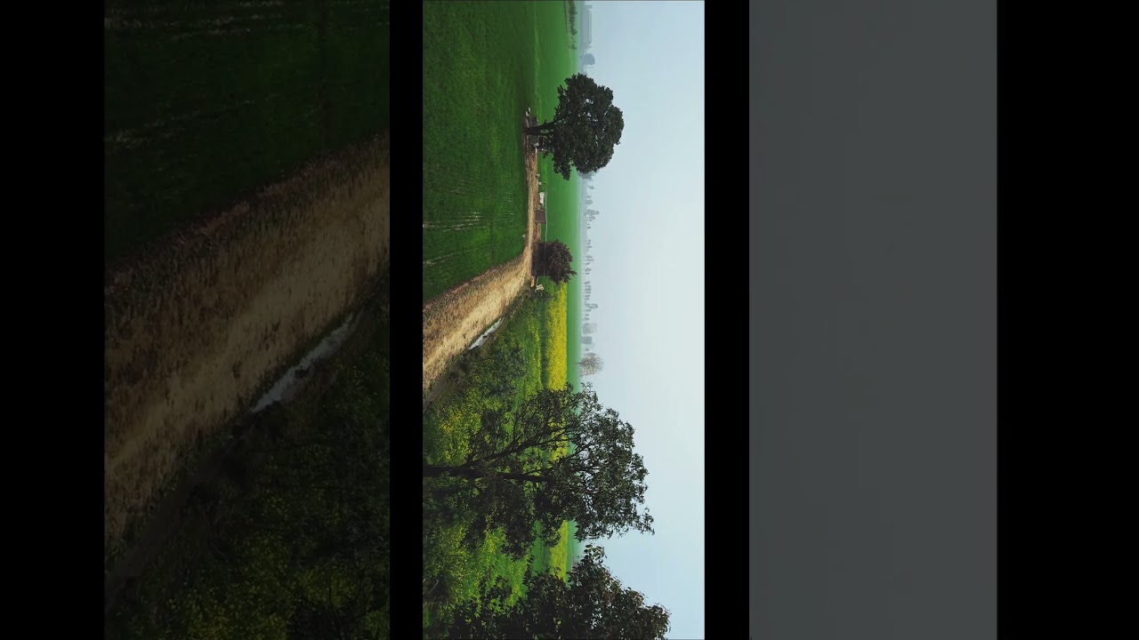 Random Cinematics #colourcorrection #sankhokun #