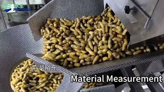 Elemotion Flat-Lay Vacuum Packaging Machine for Braised Peanuts