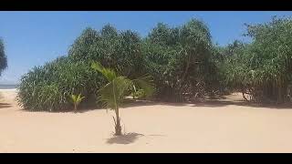 Travel With Ravi. 94777134457 Contact Via Whatsapp. Island Paradise Beach Srilanka.....