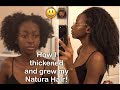 How I Grew my Natural Hair to my back!