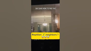 Reptilians neighbors #reptilians #shapeshifting #reptilianos #reptilian #shorts #shortsvideo