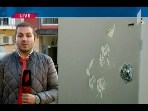 მინდია გოგოჭური წინასწარი დაკავების იზოლატორშია გადაყვანილი