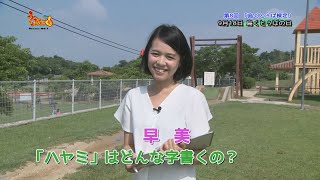 うちなーなんばー1】☝第334回☝【公式】 - YouTube
