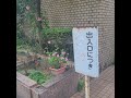 羊文学 (양문학) - ミルク (우유) 한국어 가사 번역