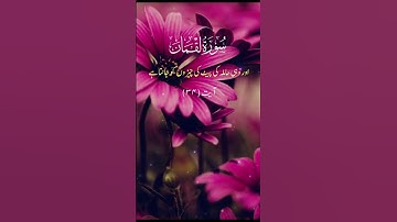 Surat Luqman | Quran tilawat | Quranic verses| Holy verses | Al quran | Tilawat | سورة لقمان