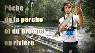 Pêche de la Perche et du Brochet en rivière - No kill - Crazy Fishing