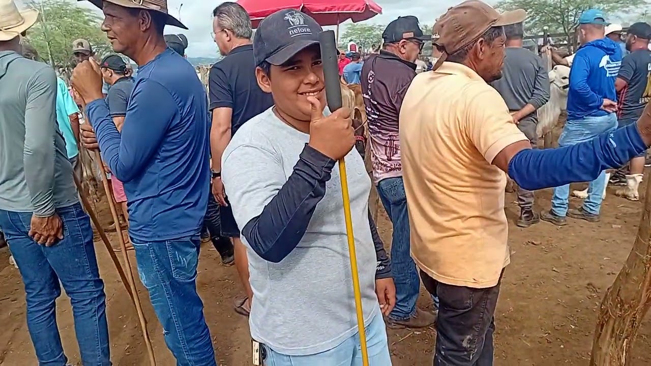 Tabira pe feira do gado maior do Brasil 