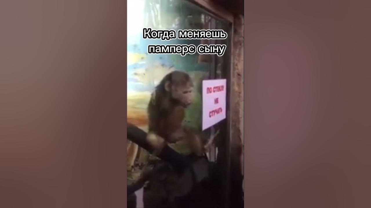 Когда решил поменять памперс сыну и туда попал свежий воздух 😂😂 - YouTube