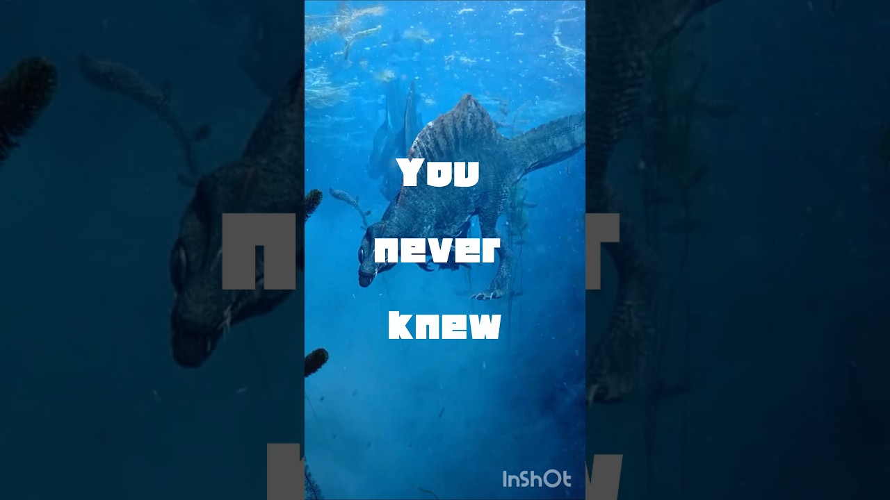 Amazing land vs marine facts 