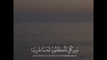 ما أعظم خلق الله عز وجل_وما يستوي البحران هذا عذب فرات سائغ شرابه وهذا ملح أجاج القارئ ماهر المعيقلي