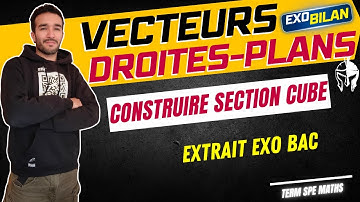 [TERM SPÉ MATHS] GÉOMÉTRIE ESPACE / EXO BAC🎯 SECTION D