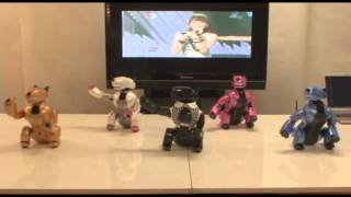 Genibo Robot Dog-- Dancing on Kara Wanna Song!!