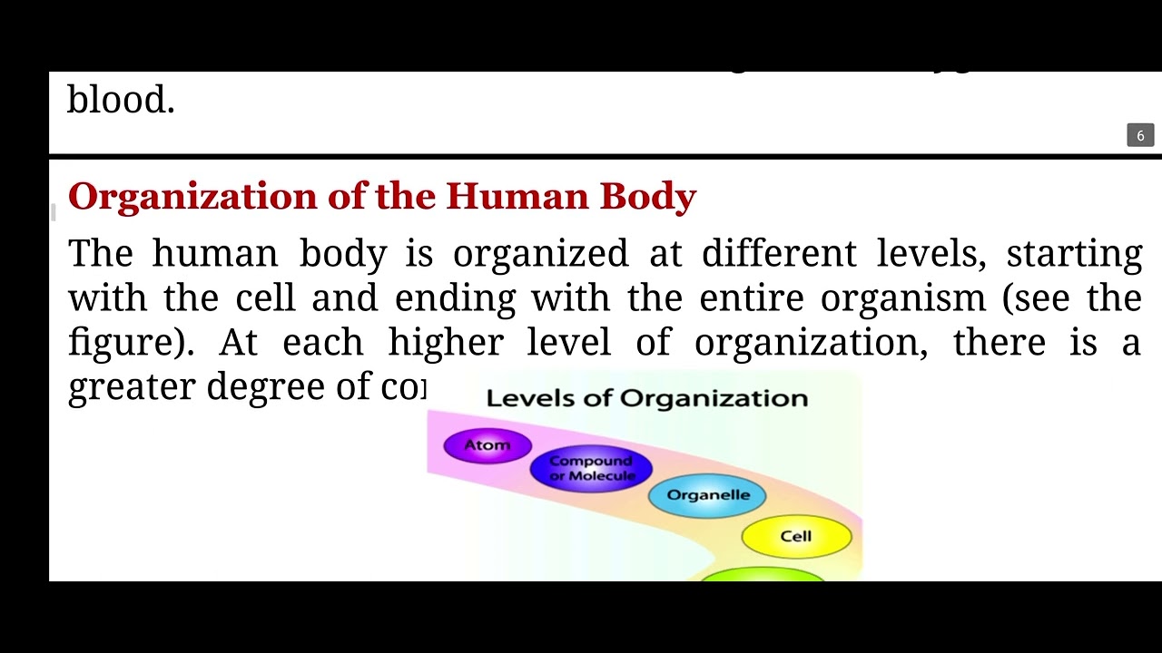 صيدلة/مرحلة اولى/ جامعة البيان/ introduction to human biology /lec 1  د.زهراء