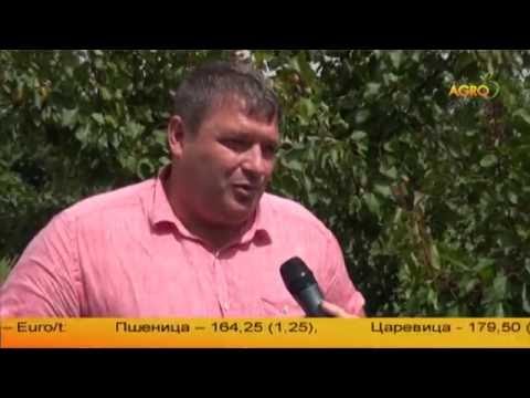 Видео: Съдържание на почвата в овощната градина