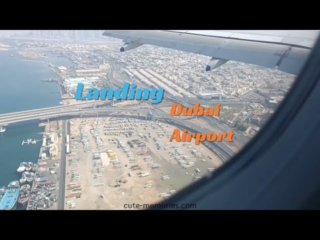 Indigo flight landing Dubai airport #dxb #dubaiairport #flightlanding #indigoflight #dubaiflight