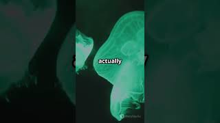 Scary SpongeBob Facts you've never heard of!