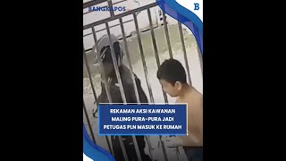 Rekaman Aksi Kawanan Maling Pura-pura Jadi Petugas PLN Masuk ke Rumah, Rp 120 Juta Raib