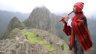Celebrando Muchas Cosas - Peternauta