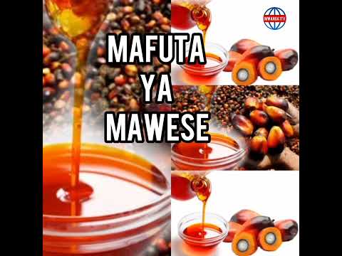 Jinsi Ya Kubadilisha Mafuta Ya Mawese Kuwa Meupe