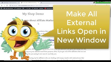 Wordpress Plugin to Open All External Links in New Window Browser Tab