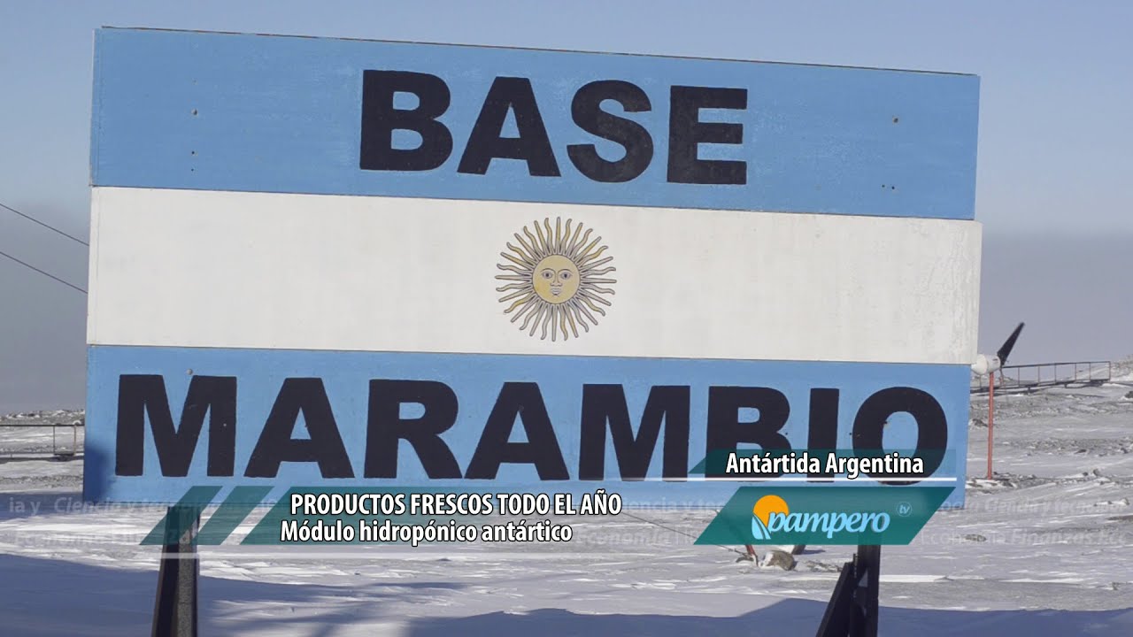 Hortalizas frescas para la Antártida intangible